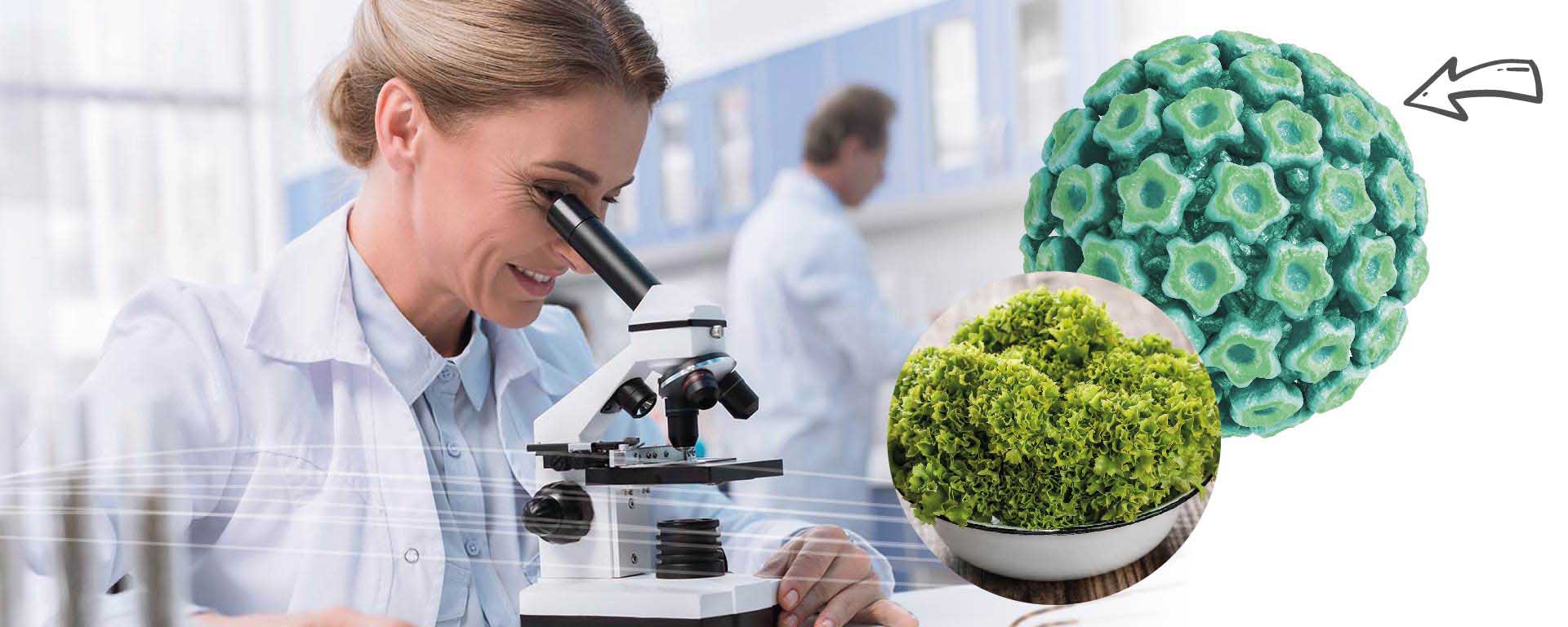 HPV O ΙΟΣ ΤΩΝ ΑΝΘΡΩΠΙΝΩΝ ΘΗΛΩΜΑΤΩΝ