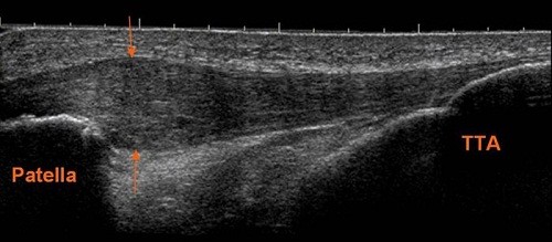 Γενική κλινική Λευκόπουλος