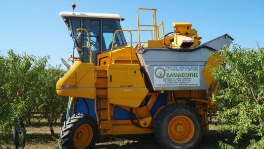 Δενδροκαλλιέργειες με μέλλον και με μηχανική συγκομιδή