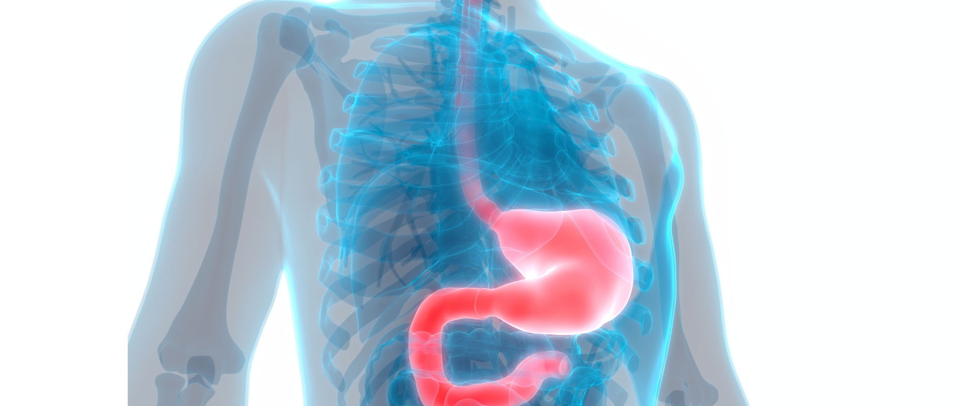 Ενδοσκοπικός υπέρηχος