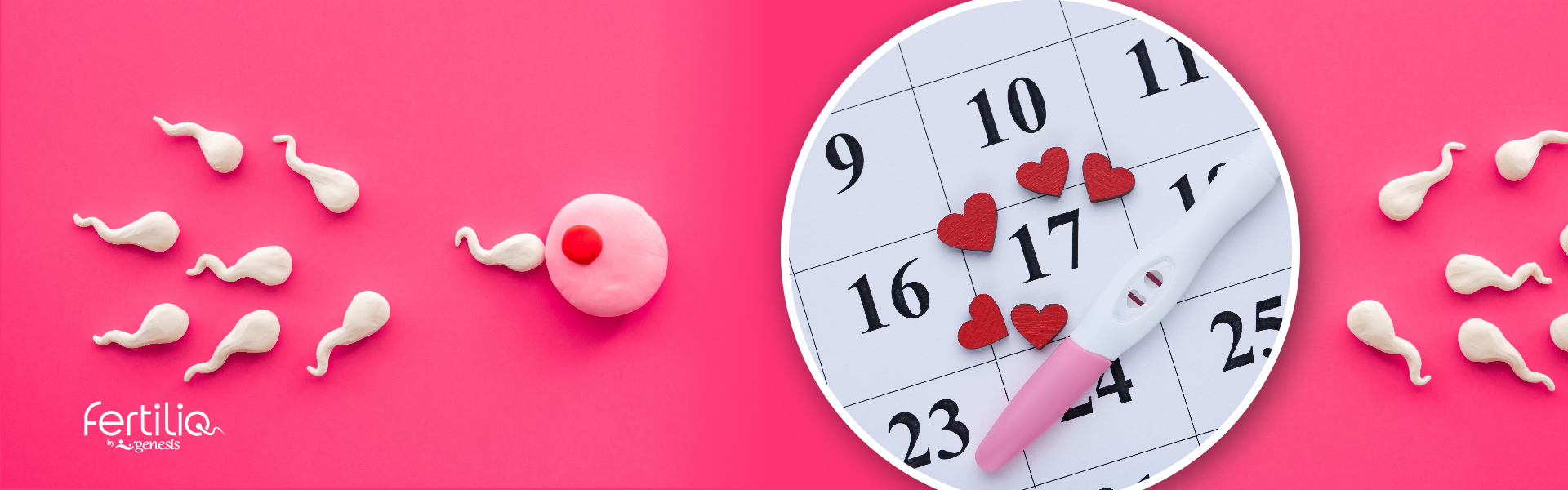 Γονιμότητα