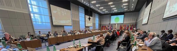 Ανθρώπινη Διάσταση 