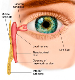 Δακρύρροια