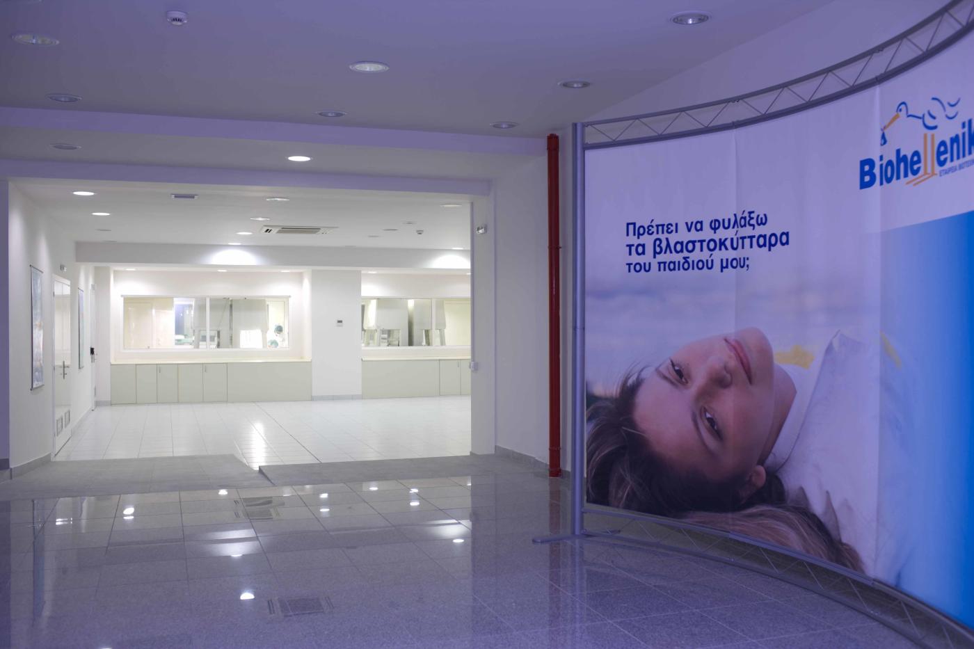 Βλαστοκύτταρα