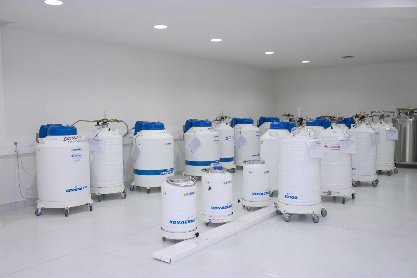 Βλαστοκύτταρα