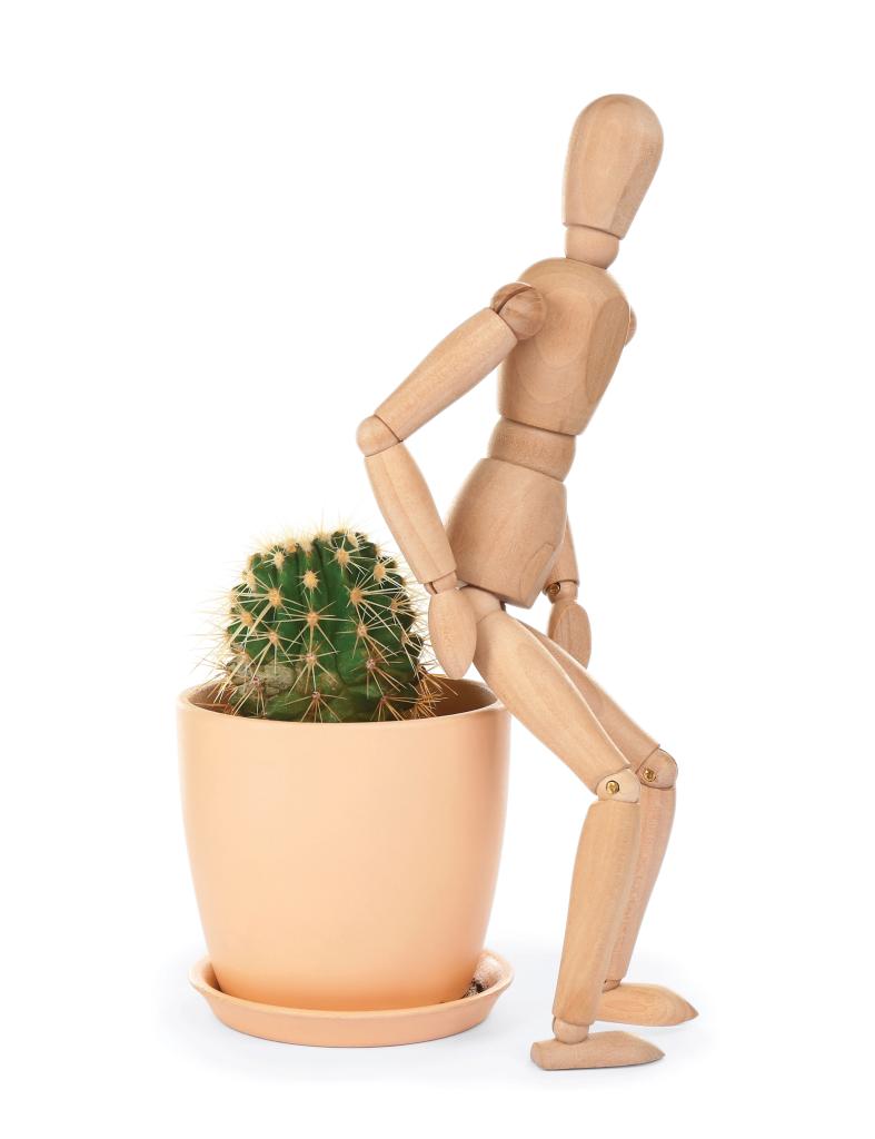 ορθοπρωκτικών