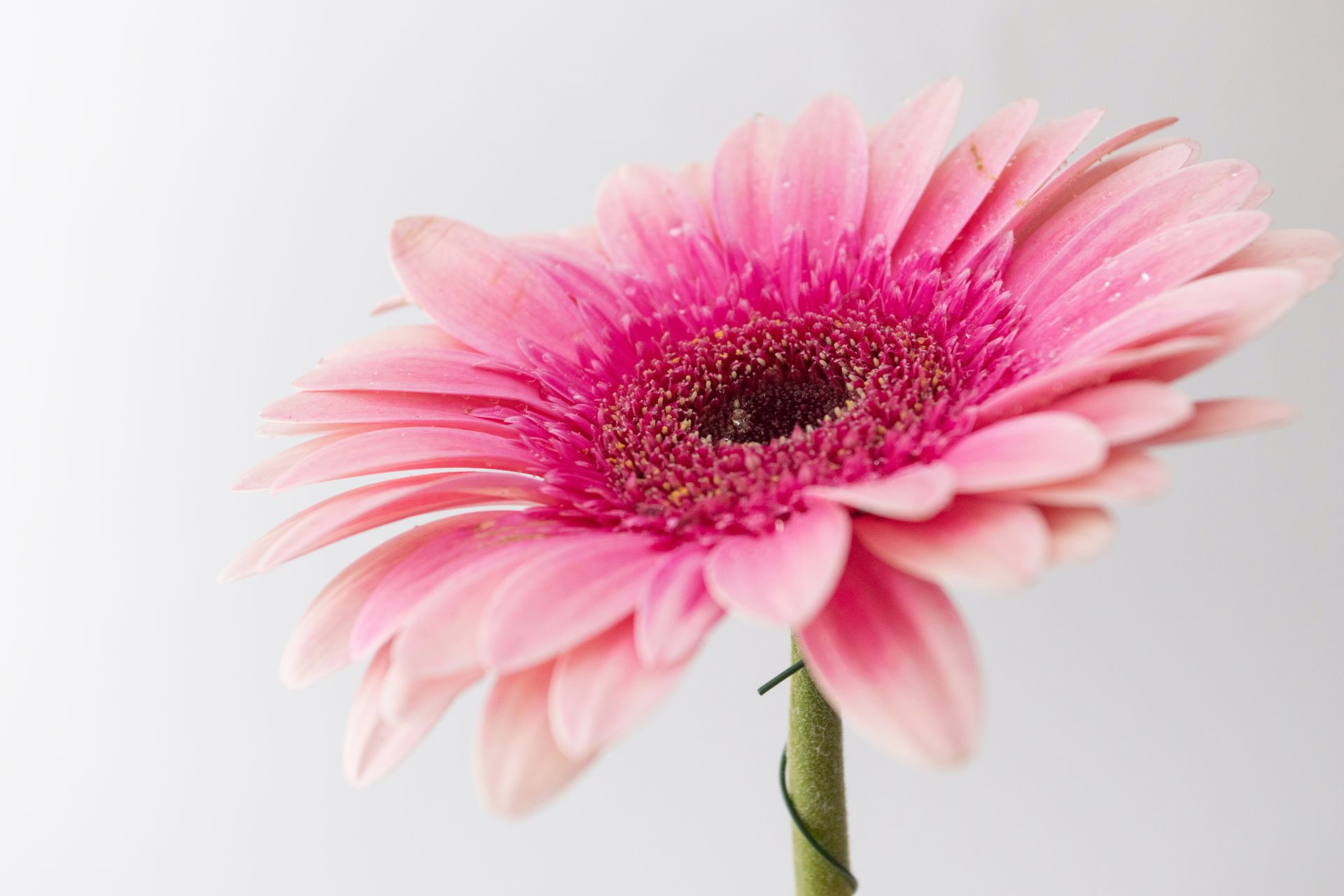 Συγγενείς ανωμαλίες της μήτρας: Τι είναι και πώς αντιμετωπίζονται;