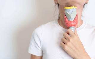 Χασιμότο καλοκαίρι